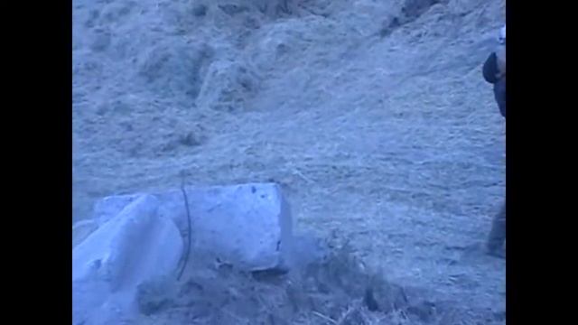 Калининск  Заготовка сенажа смотреть онлайн