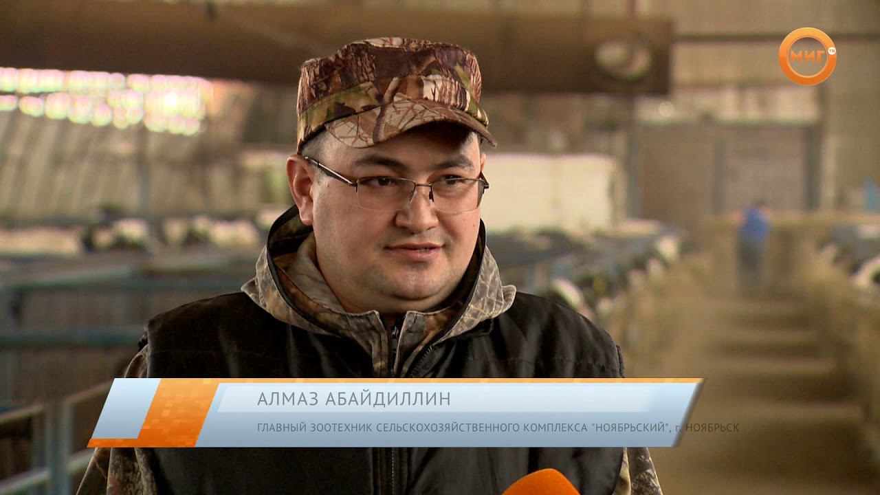 Апрель ноябрьск. События и факты Ноябрьск сегодня.