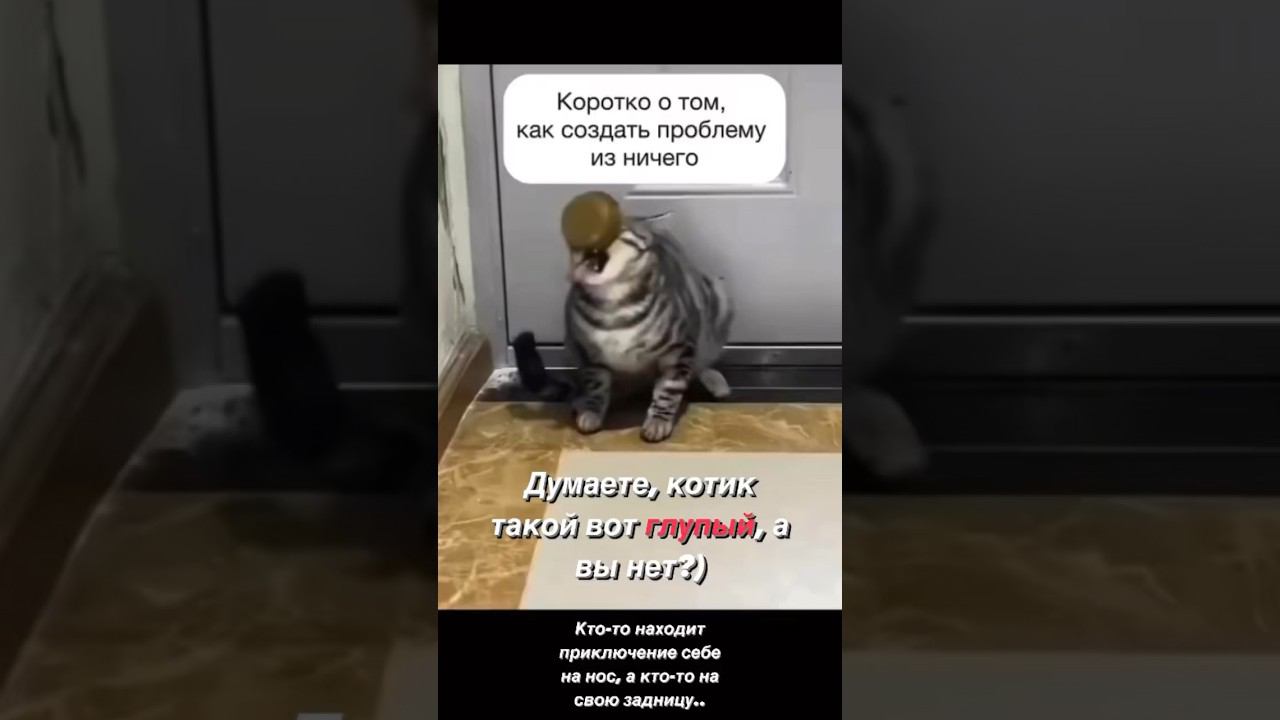 КАК ИЗ НИЧЕГО СДЕЛАТЬ ПРОБЛЕМУ#личностыйрост#психологияличности#смешныевидео#психология#отношения