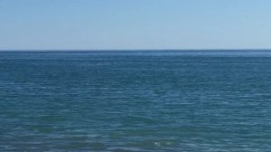 Сочи Горный воздух (Лоо) Пляж Дельфины май 2022