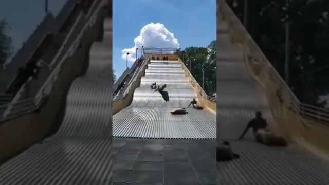 Горка в парке в Детройте закрылась в тот же день, когда и открылась смотреть онлайн