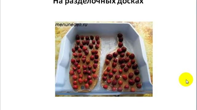 Кулинарная школа онлайн. Урок 6. Правила хранения и заморозки готовых блюд и продуктов