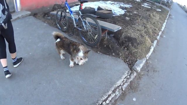 Всех со светлым праздником Пасхи! Happy Easter to everyone! Feliz Pascua a todos! смотреть онлайн