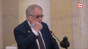 Академик РАН Р.И. Нигматулин о падении рождаемости в России