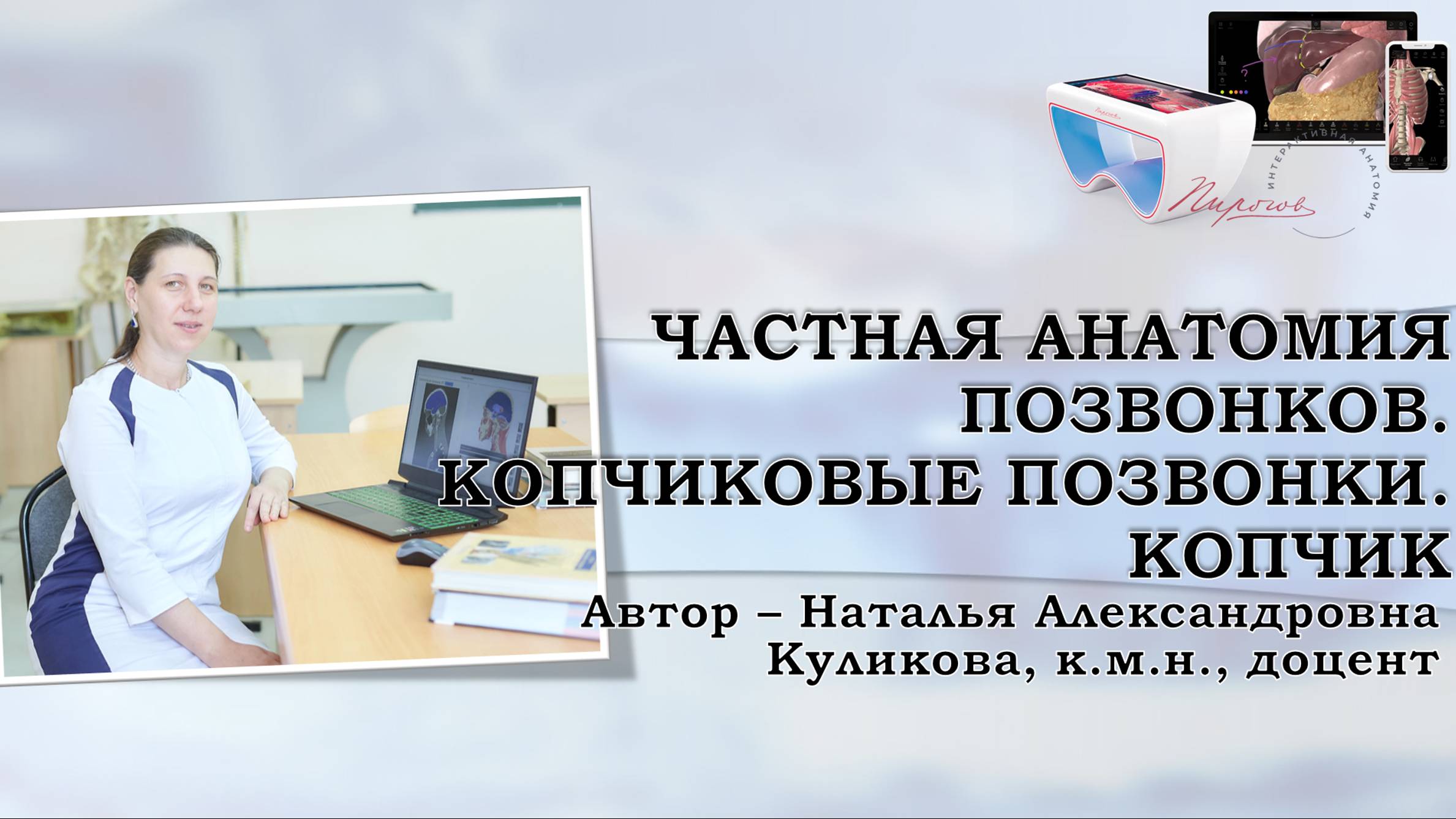 16. Частная анатомия позвонков. Копчиковые позвонки. Копчик