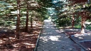 Пансионат Тулпар. Кыргызстан, Иссык Куль, Бостери.