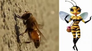 Пчелы как люди жизнь пчел