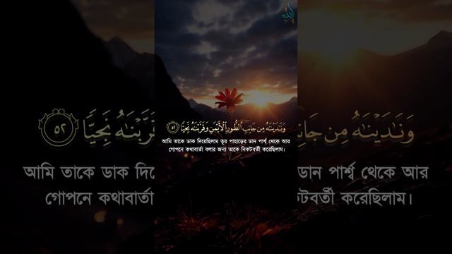 সূরা মারইয়াম | আয়াত ৫১-৫৩ | শরীফ মুস্তফা #quran #surah_maryam #sherifmostafa #jesus #ayatbangla