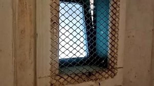 Зимнее содержание кур несушек