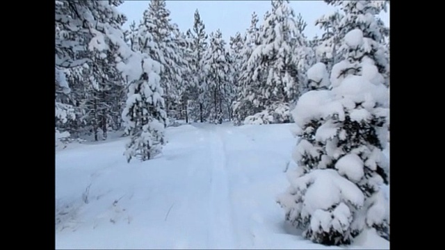 Снег кружится, летает, летает... 