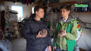 Как правильно хранить морковь, свеклу, чеснок? Важные моменты!