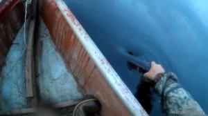 ТРОФЕЙНАЯ ЩУКА/РЕКИ СЕВЕРА/РЕКА ВЫЧЕГДА/МОНСТР ИЗ ГЛУБИНЫ