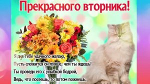 Чудесного Вторника!?С Добрым утром✨Хорошего дня и Замечательного Настроения!?#Открытки #Пожелания