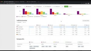 How to Analyze Competitors' Audiences With the Traffic Analytics | Lesson 2/8 | SEMrush Academy