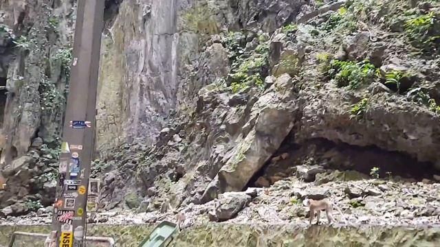 Пещеры Бату в Малайзии и действующий храм внутри. смотреть онлайн