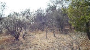 Весенний поход дилетанта на природу. Выпуск 2 (1ч)