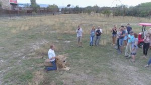 Вечерняя прогулка ко львам ! Крым -Тайган . Crimea - Taigan !