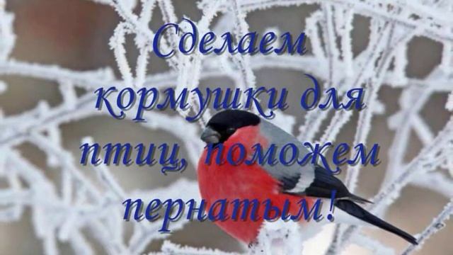 Покормите птиц зимой смотреть онлайн