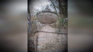 Провизор Остроумов