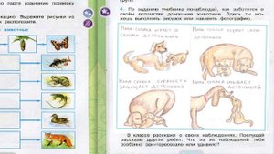 Окружающий мир. Рабочая тетрадь 3 класс 1 часть. ГДЗ стр. 60 №4