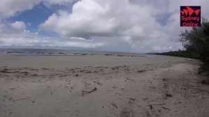 Каникулы в Port Douglas ч.2 | Австралия | Квинсленд