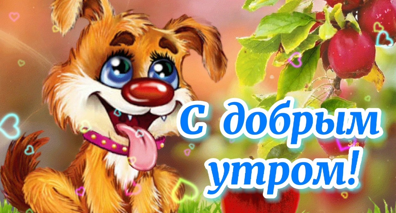 Доброе Утро! ⚘? Хорошего Дня и отличного настроения!