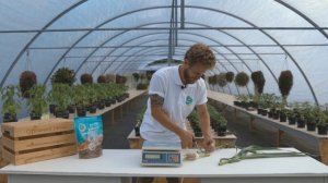 Честное сравнение чеснок с Органик Микс и без