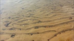 Озёра Бологовского края