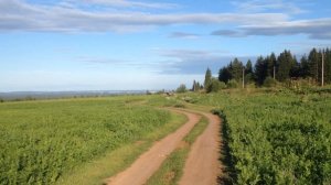 Тифон Т-37, 150 метров