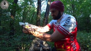 Драники на костре. Вкусно. Быстро. Как в детстве