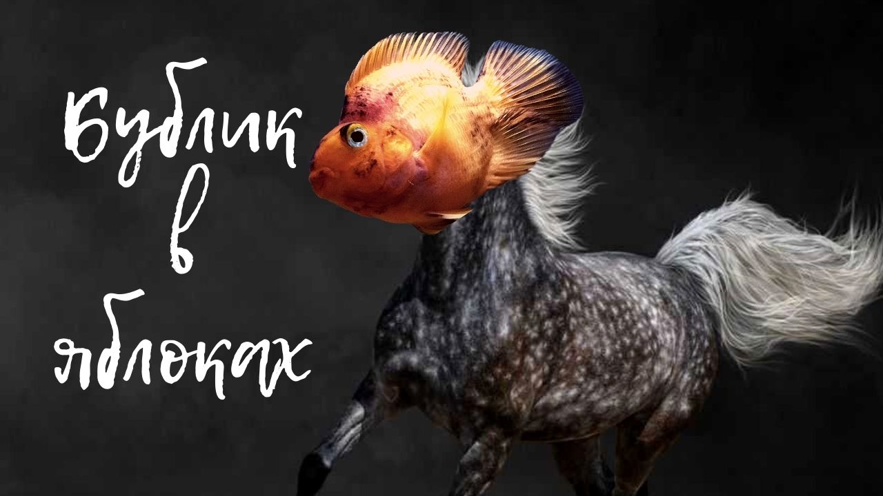 ЦИХЛИДЫ ✔  ЧЕРНЫЕ ПЯТНА У РЫБ ПОПУГАЕВ . ПРИЧИНЫ ПОЯВЛЕНИЯ ЧЕРНЫХ ПЯТЕН У ЦИХЛИД .???