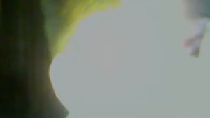 Потому что есть алешка у тебя