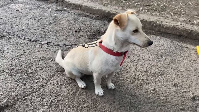 18 июля 2022 г. смотреть онлайн