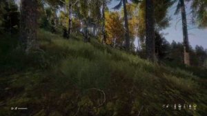 I was almost good. DayZ conquest