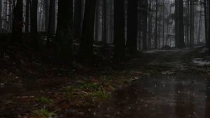 [Тыва караоке] Анчы Салчак - Чангыс буру