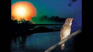 Вечер тихо догорает (А. Фет)