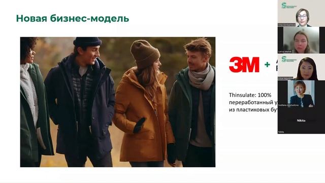 Стратегии устойчивого развития