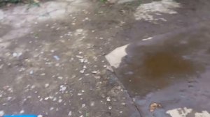 Двигатель для мотоблока Нева МБ-2