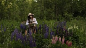 В ожидании лета на сказочной даче | люпиновое поле