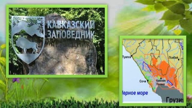 «У Дядюшки Берендея». К Дню заповедников и национальных парков.