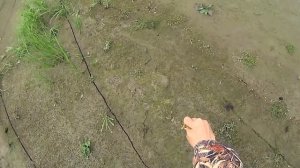 Охота на гуся.  Goose hunting. Белолобый гусь и белощекая казарка.