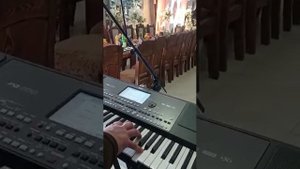 туй дар Россия