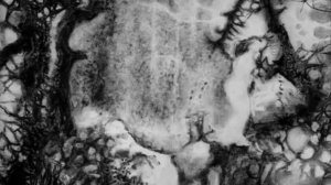 Юрий Шевчук   К чему реке, моё шальное пенье