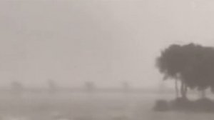 5 НЕИЗВЕСТНЫХ СУЩЕСТВ СНЯТЫХ НА КАМЕРУ