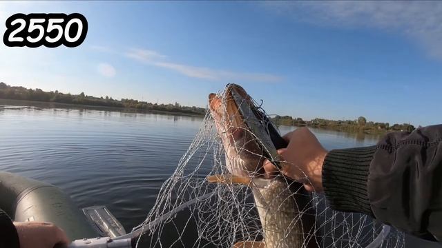 Ловля щуки на крупные воблеры смотреть онлайн