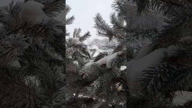 Зимняя предновогодняя сказка.31декабря 2021г.Город Иваново.