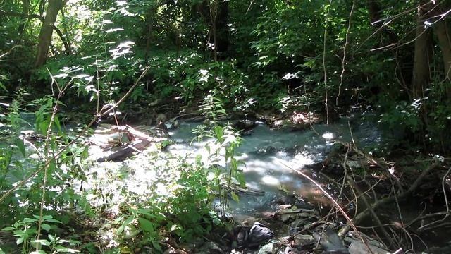 MVI 3920 смотреть онлайн