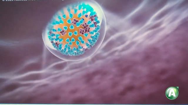 Почемучки 06 - врач-инфекционист Ирина Якунина смотреть онлайн