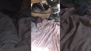 Шевролет авео т300 не запускается ошибка 89