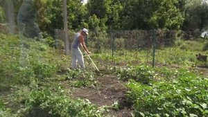 ПЛОСКОРЕЗ КОСА Олега Панова